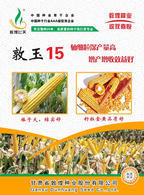 DM宣傳單