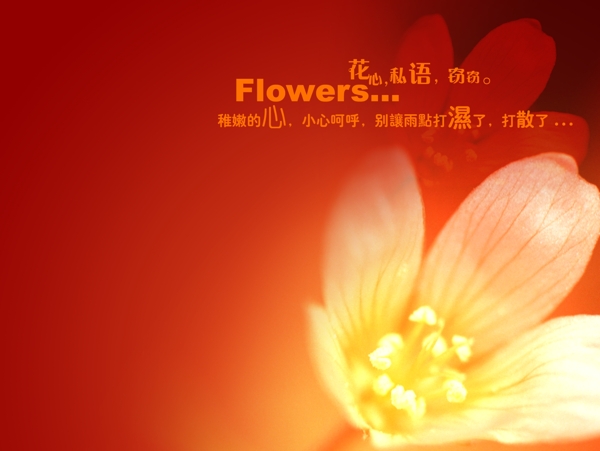 兒童相冊(cè)模板圖片