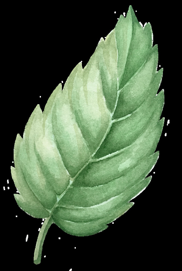 角尖花葉卡通透明素材