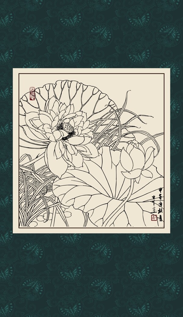 白描荷花圖片