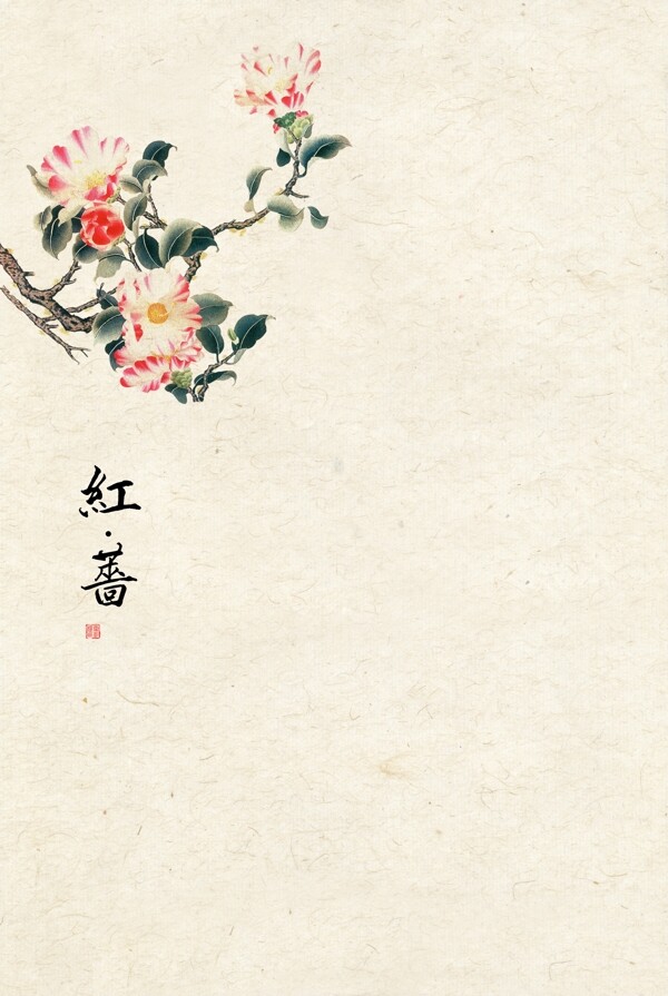 传统工笔画宣纸红杏花卉背景