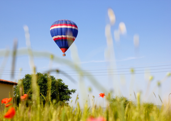 蓝天飞翔的热气球图片