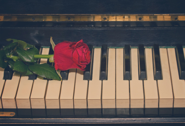玫瑰花和钢琴图片