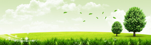 清新綠色草地大樹淘寶全屏banner背景