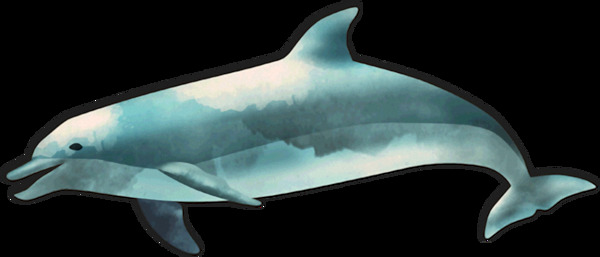 漂亮蓝色海豚免抠png透明素材