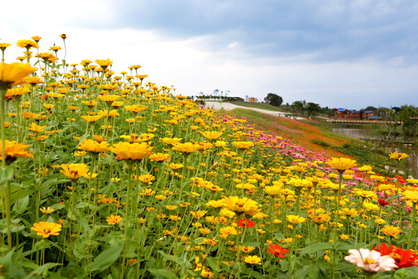 鮮花
