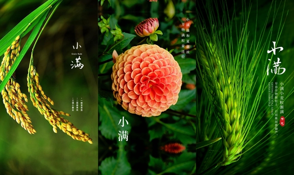 小滿