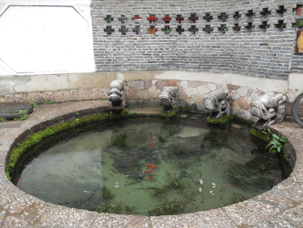 水池圖片