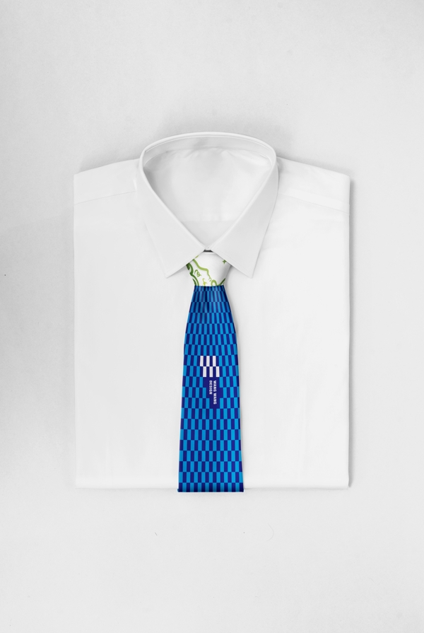 领带样机