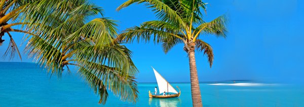 海南旅游椰樹清新背景banner