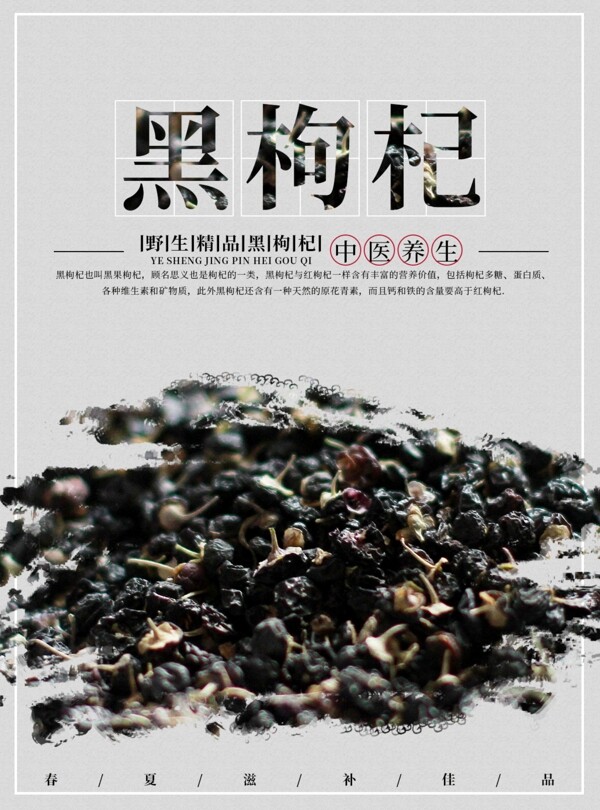 中国风养生食疗黑枸杞保健海报