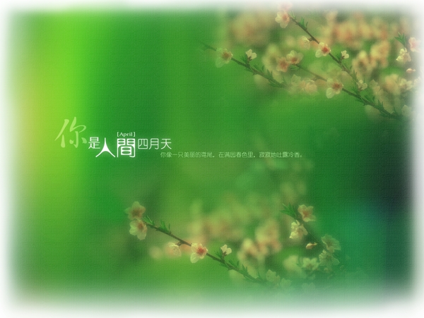 心戀主題心戀主題四婚紗模板影樓魔法書DVD41