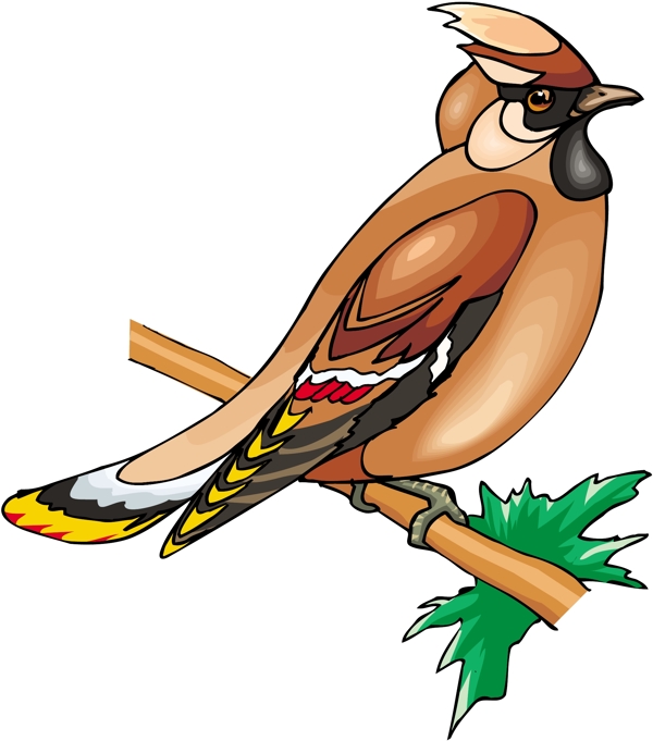 各種鳥類鳥動(dòng)物矢量素材EPS格式1568