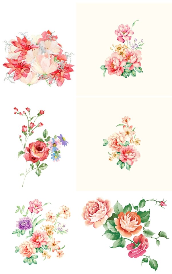 水彩花卉