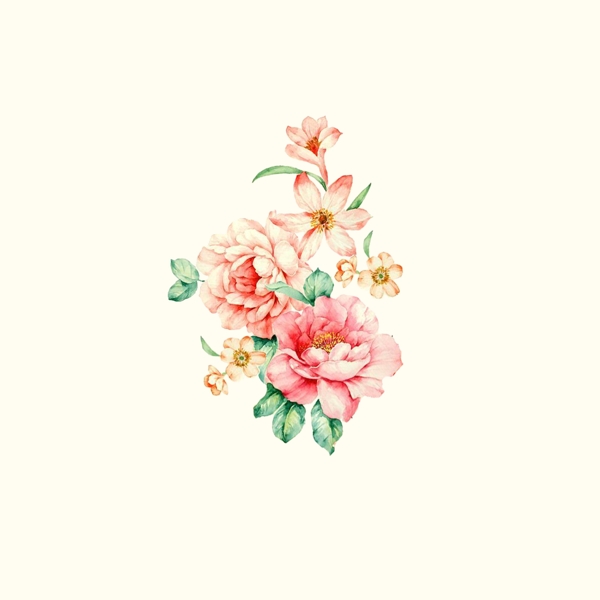 位圖psd植物花朵免費素材