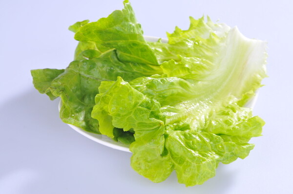 生菜圖片