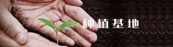 植物種植基地PSD素材