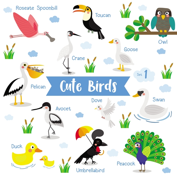 可爱鸟类主题动物儿童插画
