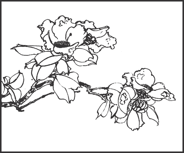 花卉