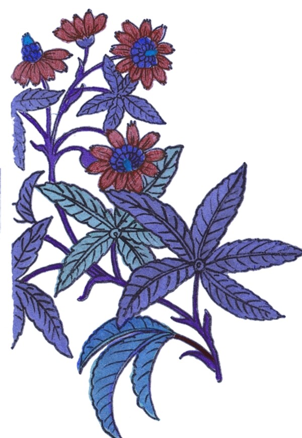 花卉底紋邊框