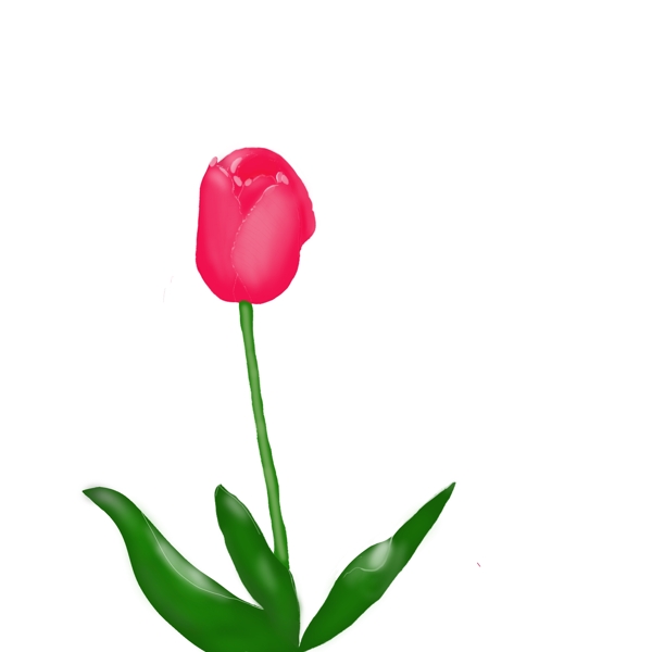郁金香花朵绿叶粉色元素素材