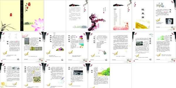 走近金橋