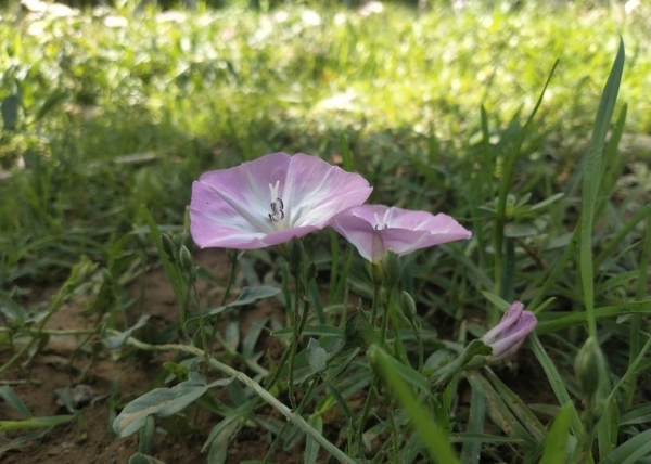 牽?；?>
                </a>
                <a href=