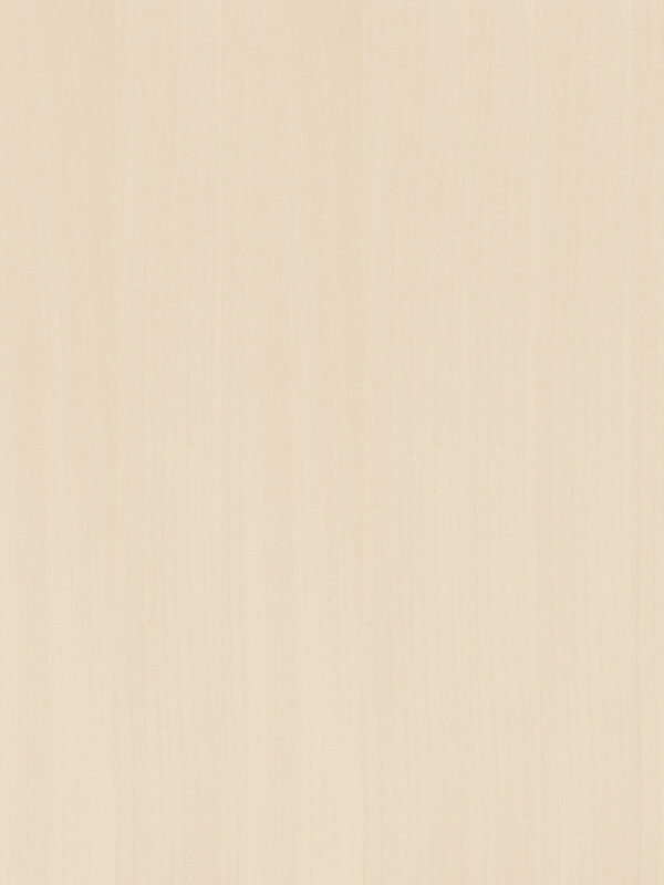 現(xiàn)代簡(jiǎn)約衣柜3D模型
