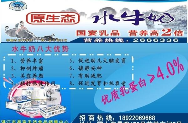 水牛奶宣傳單圖片