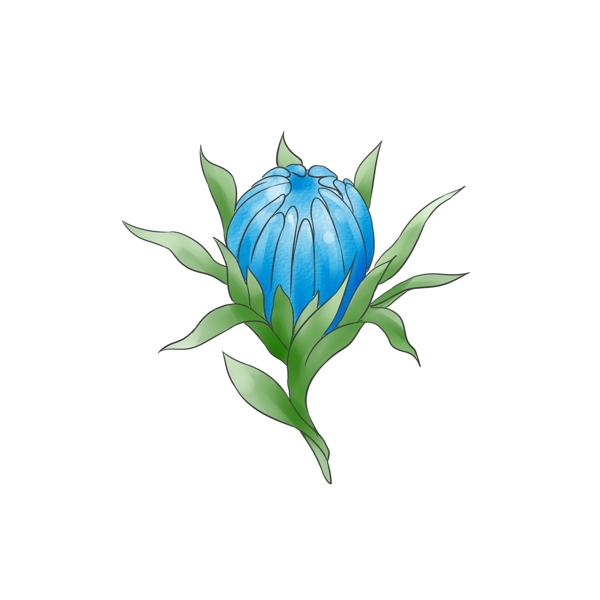原創(chuàng)美麗手繪植物花素材