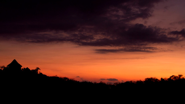 傍晚丛林山野黄昏日落实拍高清视频素材