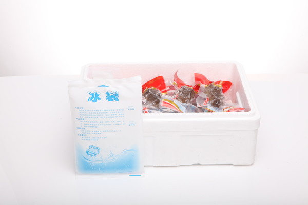 海參圖片