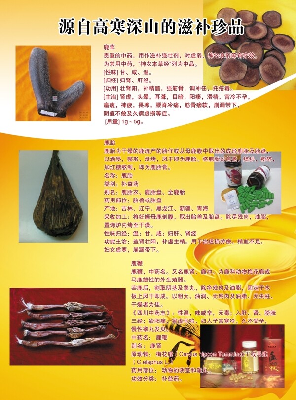 蜂蜜宣傳單圖片