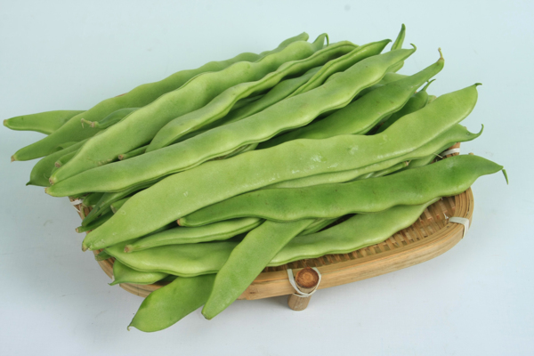 扁豆圖片