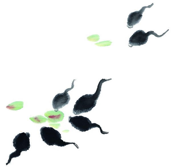 水墨风格的青蛙小蝌蚪图片