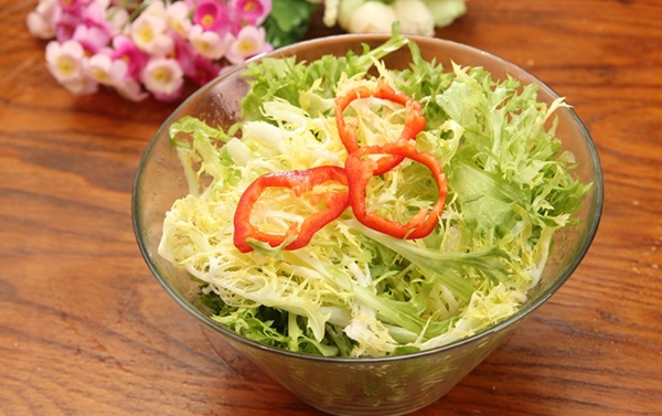 苦菊