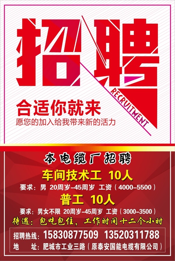 招聘