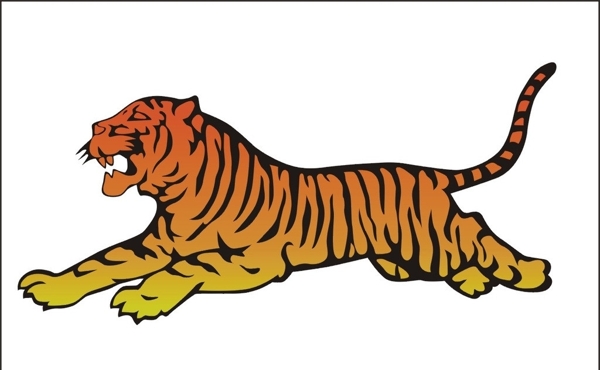 東北虎圖片