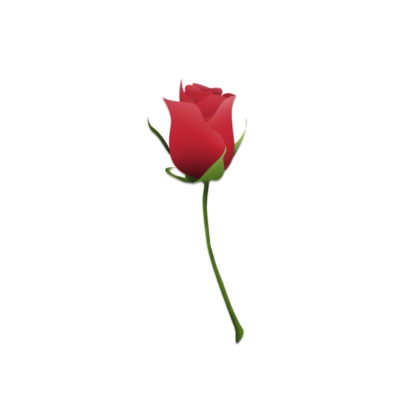 清新手绘红色玫瑰花朵设计