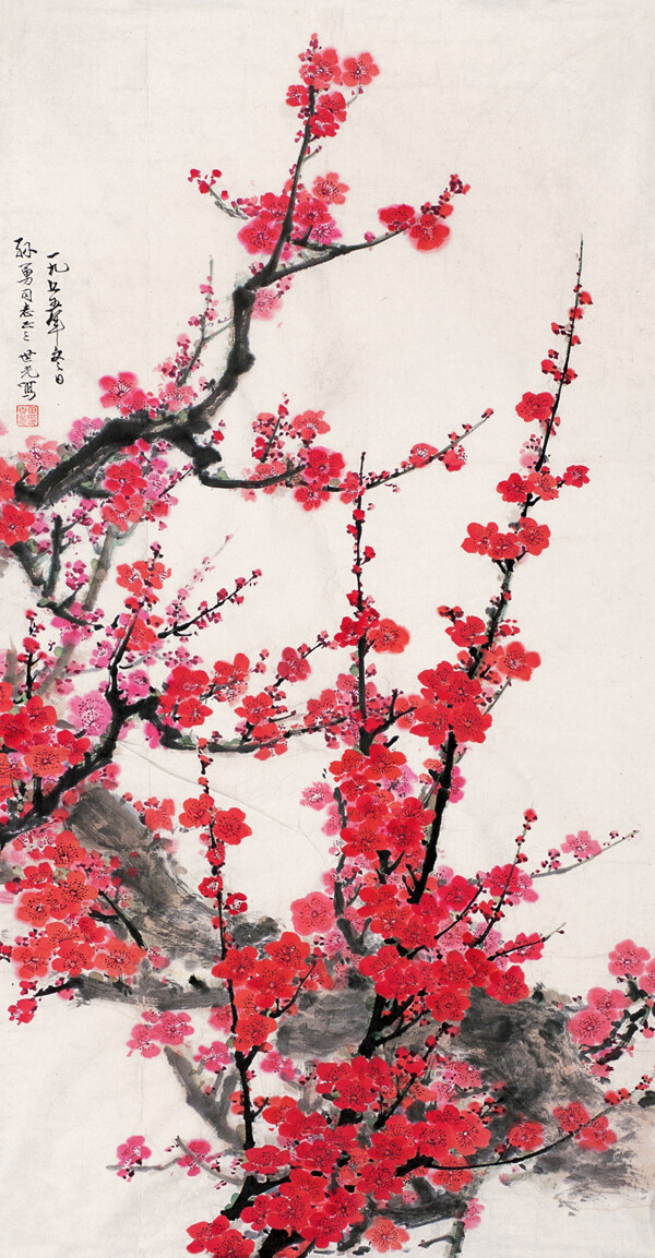 紅梅圖片