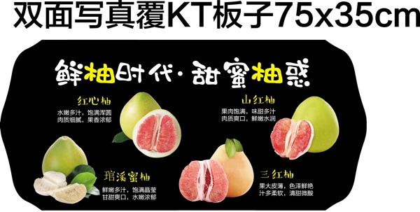 柚子水果单品海报