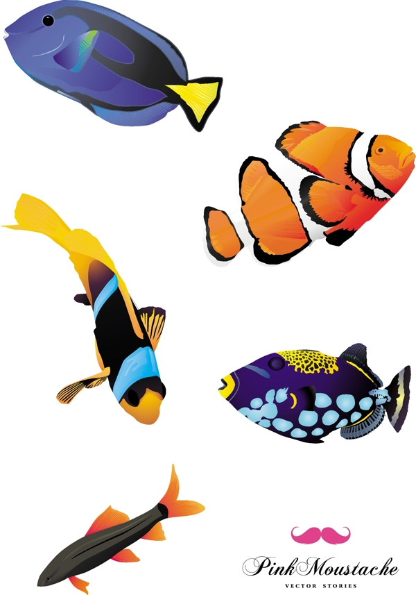 彩色向量鱼
