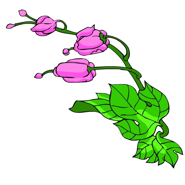 花卉古典插畫