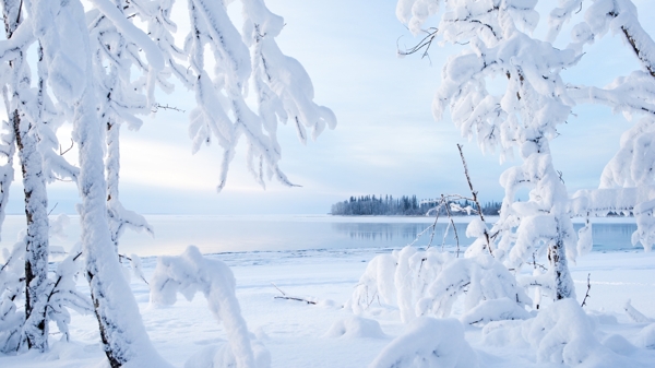 唯美雪景