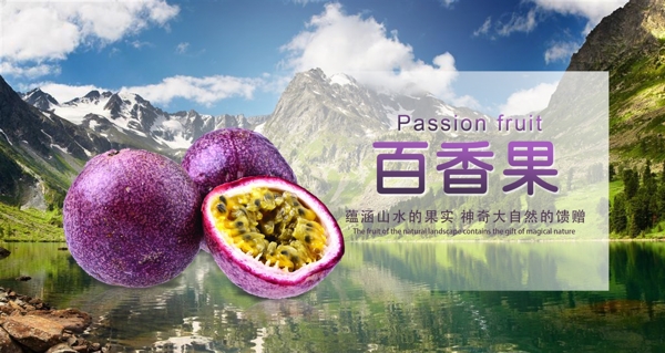 水果海報