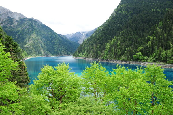 山上池塘邊的景觀圖片