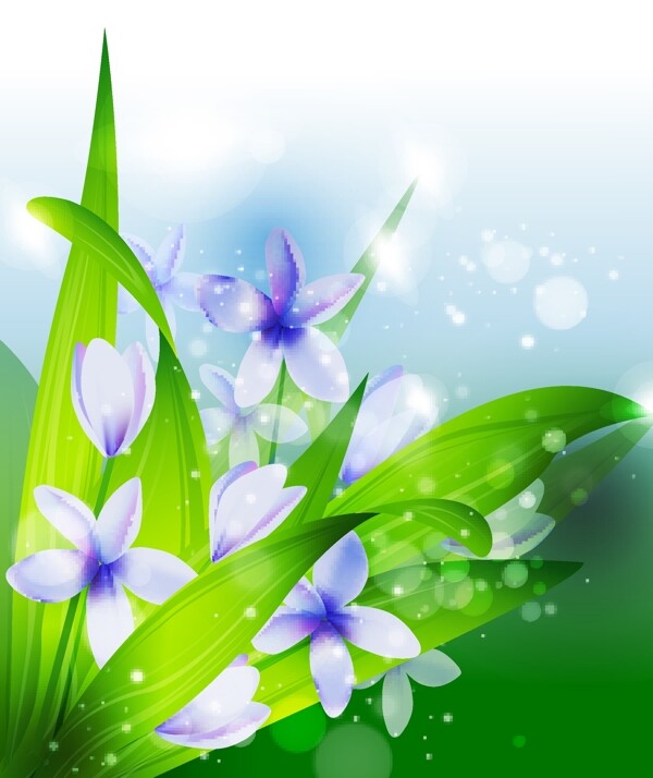 花卉插圖