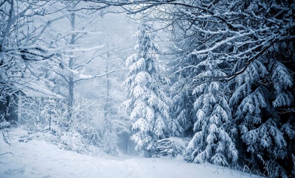 冬日雪景图片
