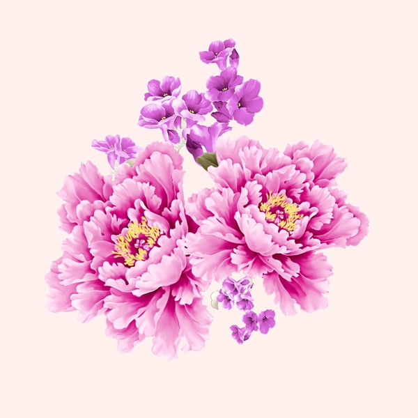 位圖psd植物花朵免費(fèi)素材