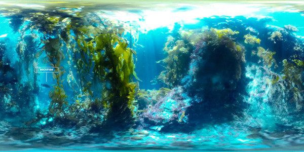 探险海带森林VR视频